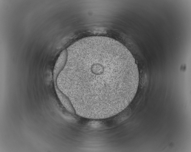 X0000110940704200907311016