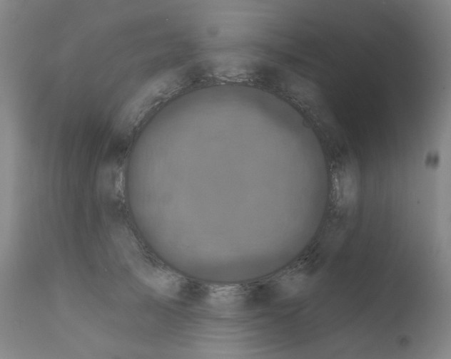 X0000110940705200907311016
