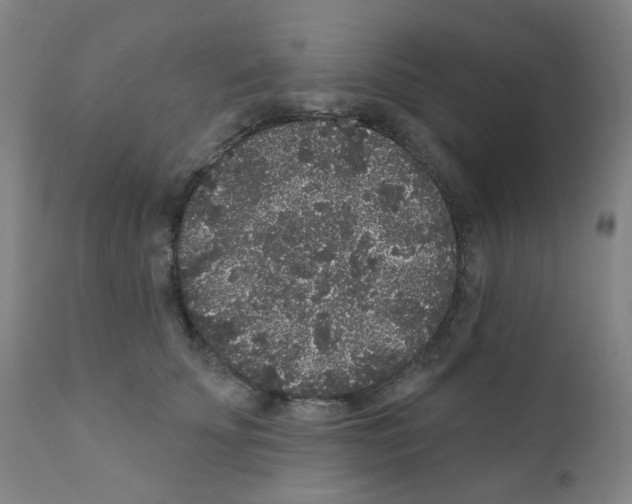 X0000110940707200907311016
