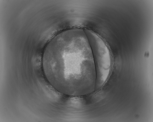 X0000110940708200907311016