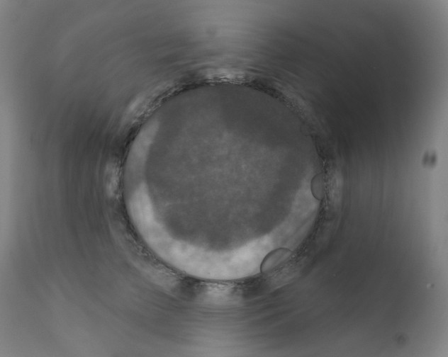 X0000110940709200907311016