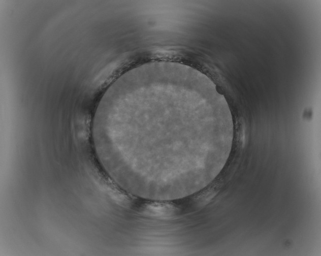 X0000110940712200907311016