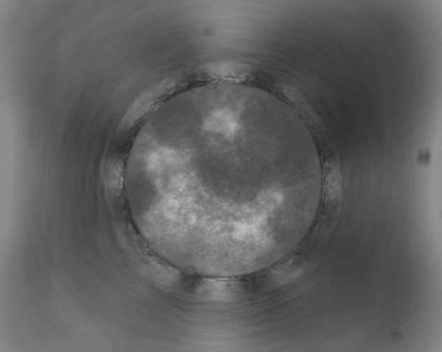 X0000110940713200907311016