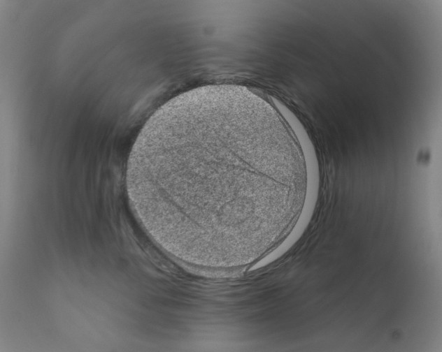 X0000110940716200907311016