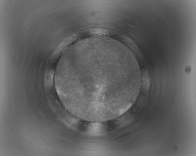 X0000110940717200907311016