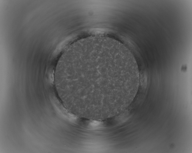 X0000110940718200907311016