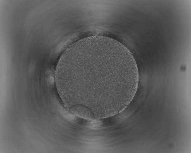 X0000110940719200907311016