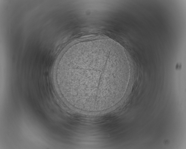 X0000110940720200907311016