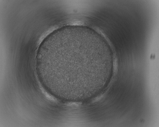X0000110940721200907311015