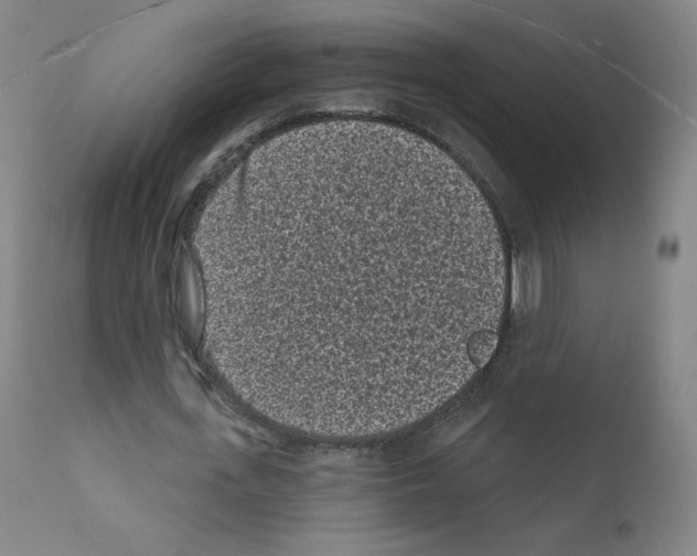 X0000110940723200907311015