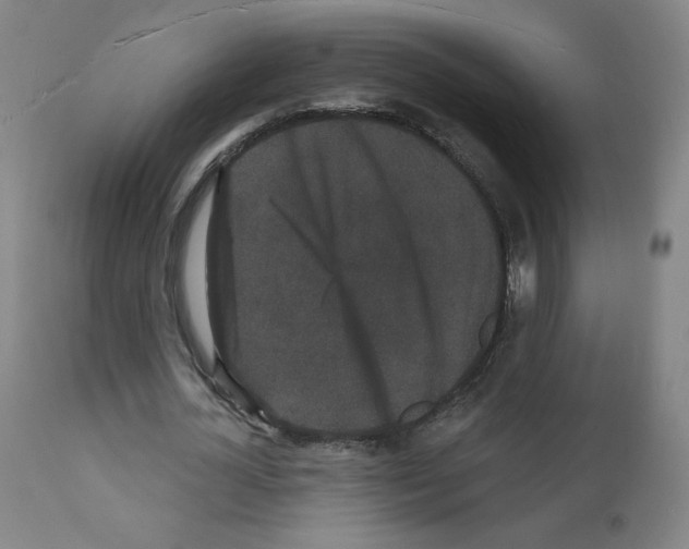 X0000110940724200907311015