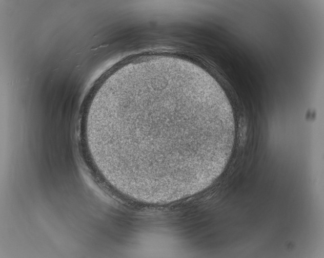 X0000110940726200907311015