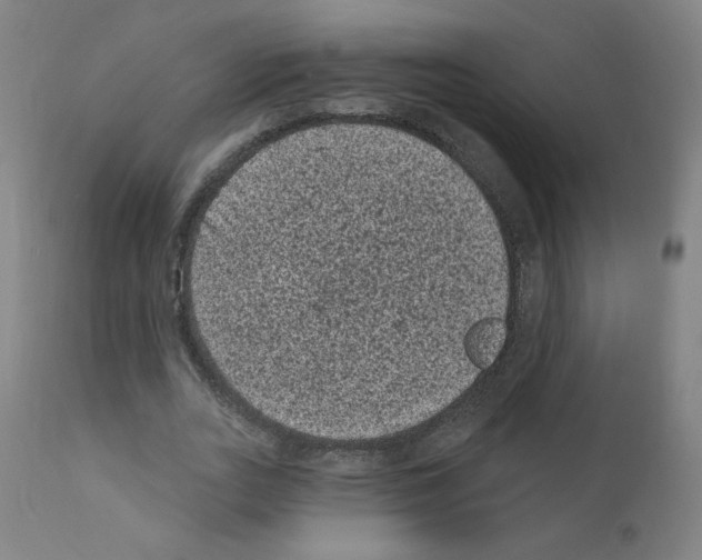 X0000110940727200907311015