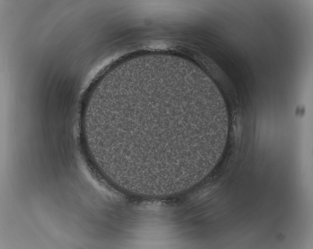X0000110940728200907311015