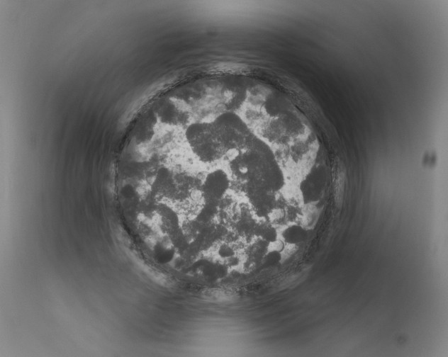 X0000110940729200907311015