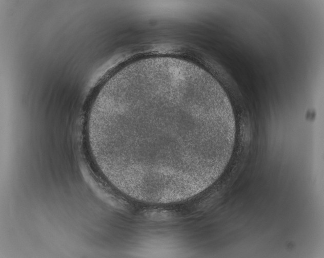 X0000110940730200907311015