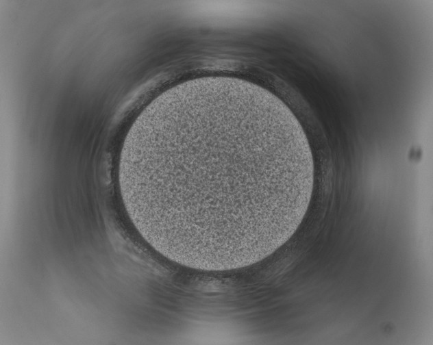 X0000110940731200907311015