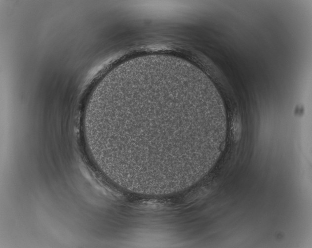 X0000110940732200907311015