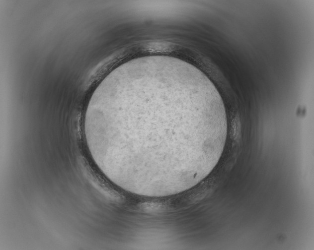 X0000110940733200907311015
