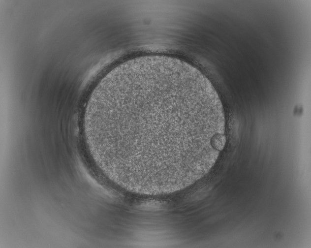 X0000110940734200907311015
