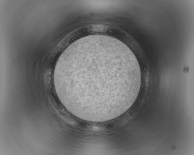X0000110940737200907311015