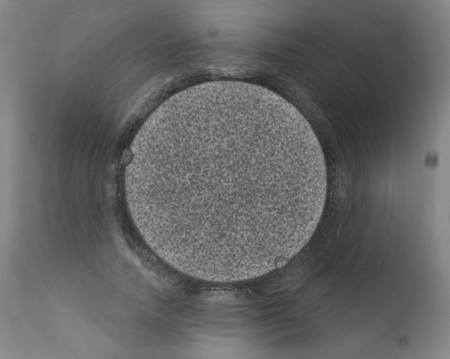 X0000110940738200907311015