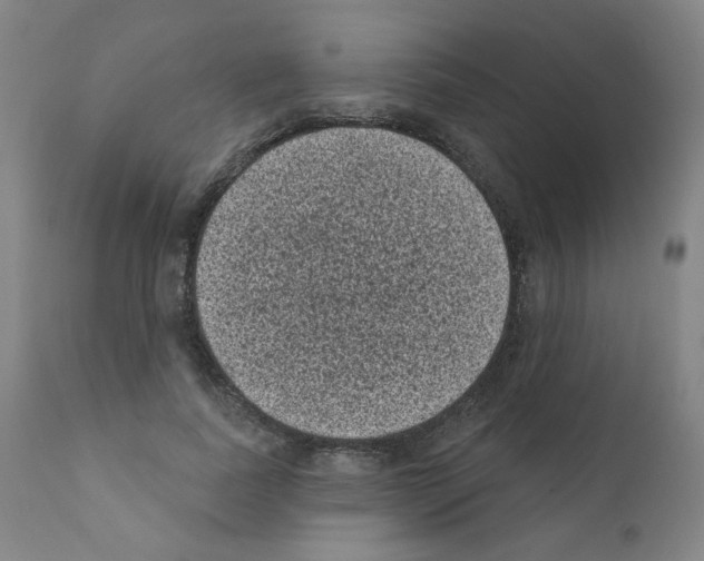 X0000110940739200907311015