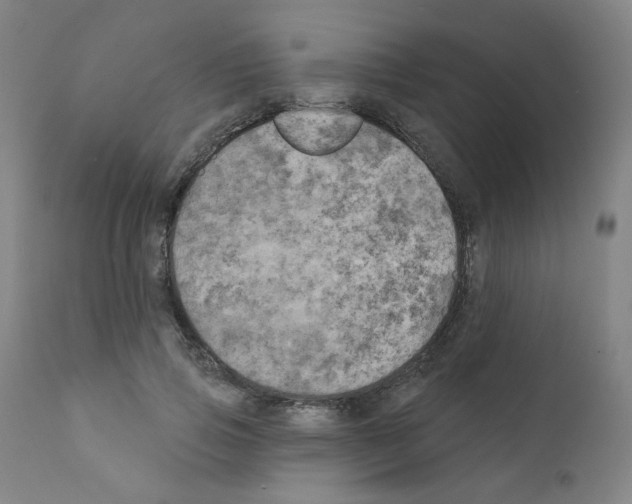 X0000110940741200907311015