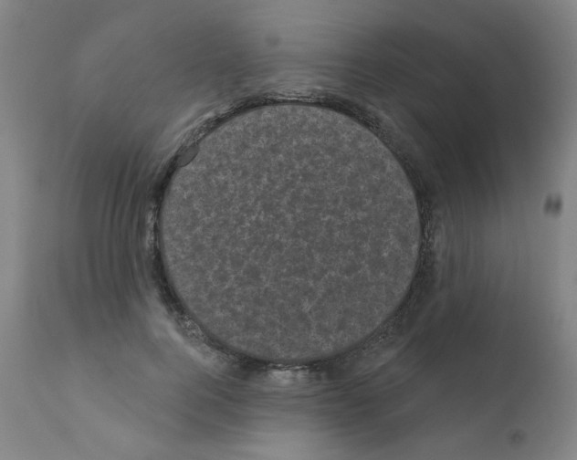 X0000110940744200907311016
