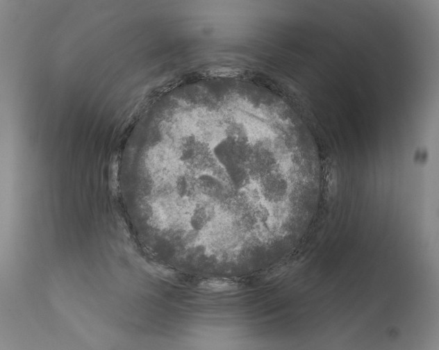 X0000110940745200907311016