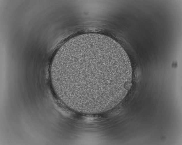 X0000110940746200907311016