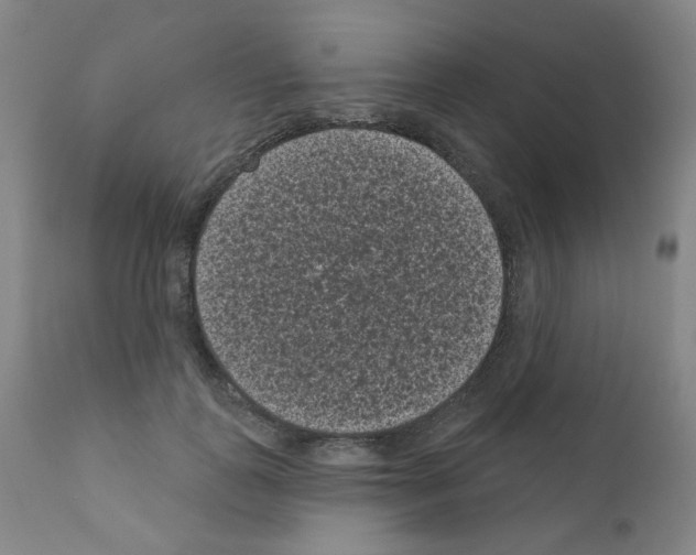 X0000110940747200907311016