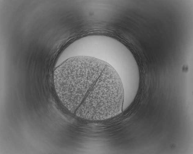 X0000110940748200907311016