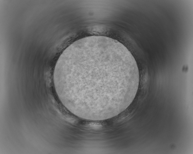 X0000110940749200907311016