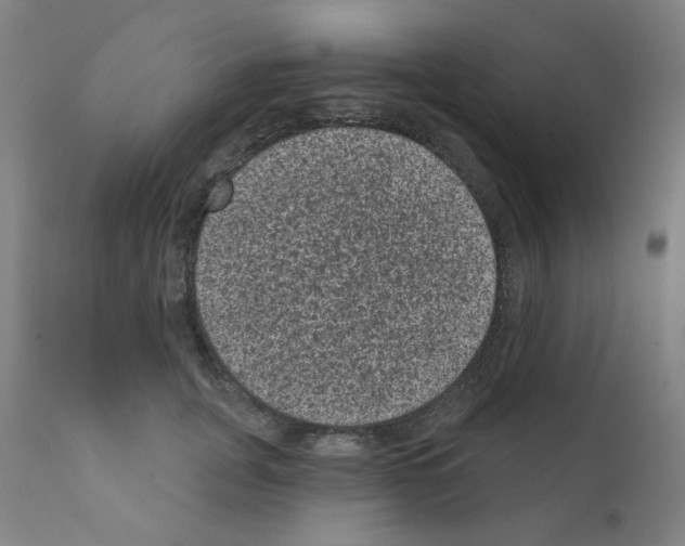 X0000110940751200907311016