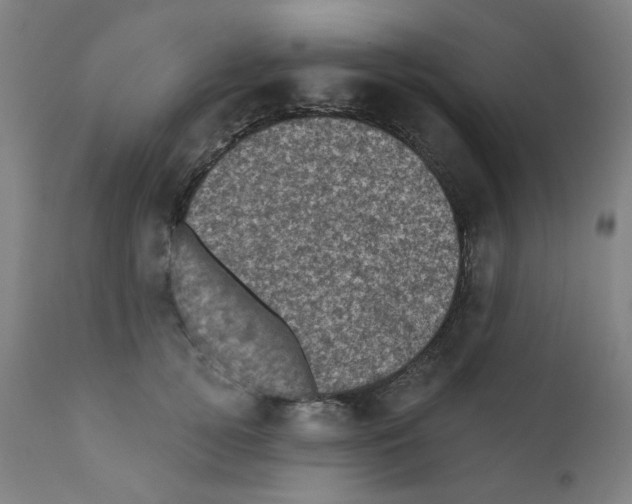 X0000110940752200907311016