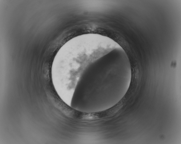 X0000110940754200907311016