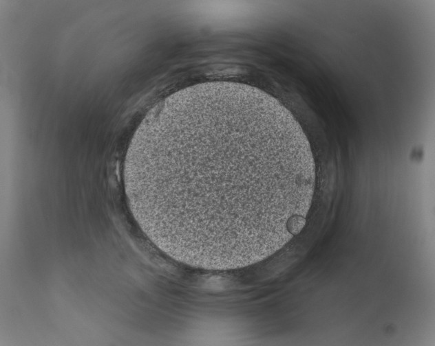 X0000110940755200907311016