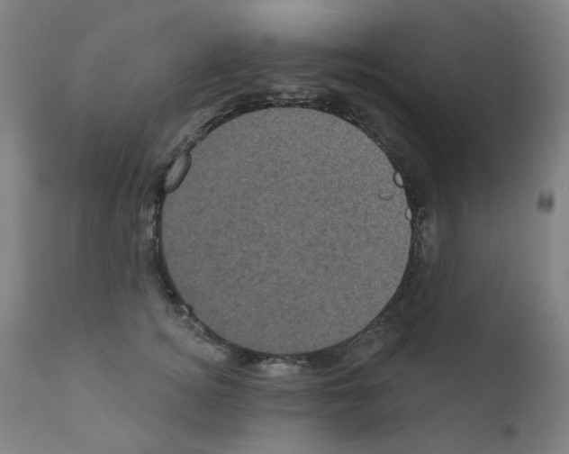 X0000110940756200907311016