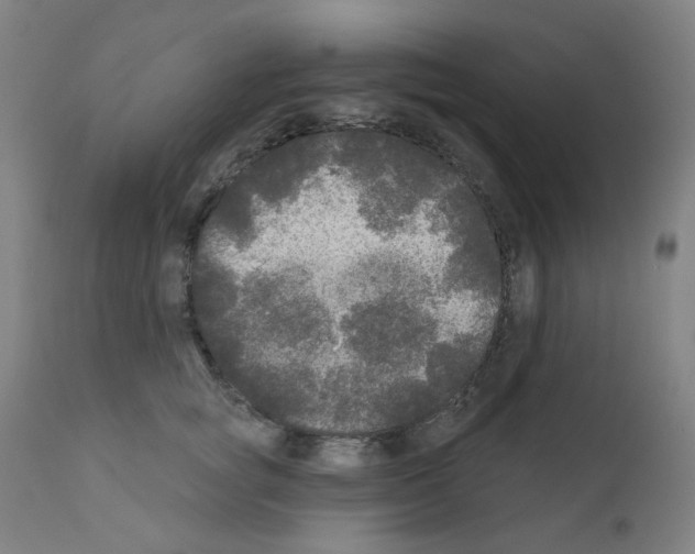 X0000110940757200907311016