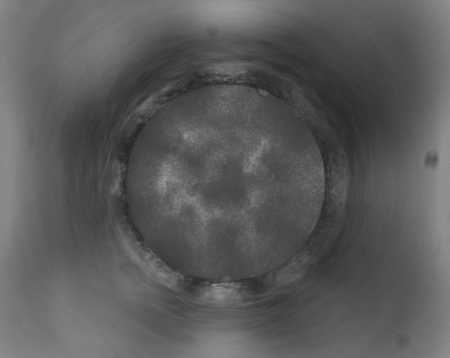 X0000110940758200907311016