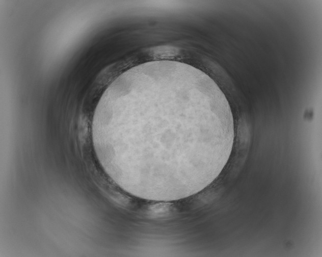 X0000110940761200907311016