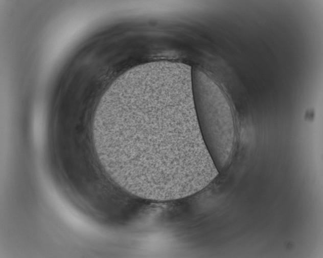X0000110940764200907311016