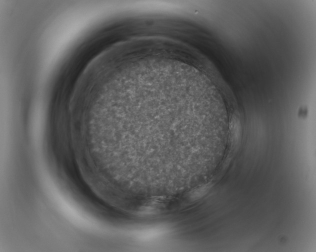 X0000110940765200907311016