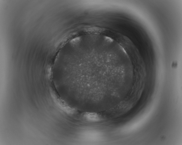 X0000110940767200907311016