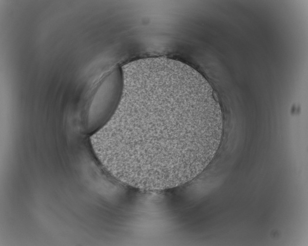 X0000110940768200907311016