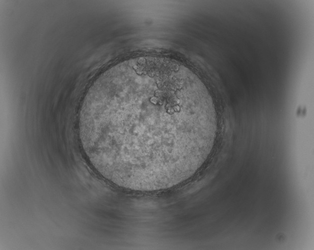 X0000110940769200907311015