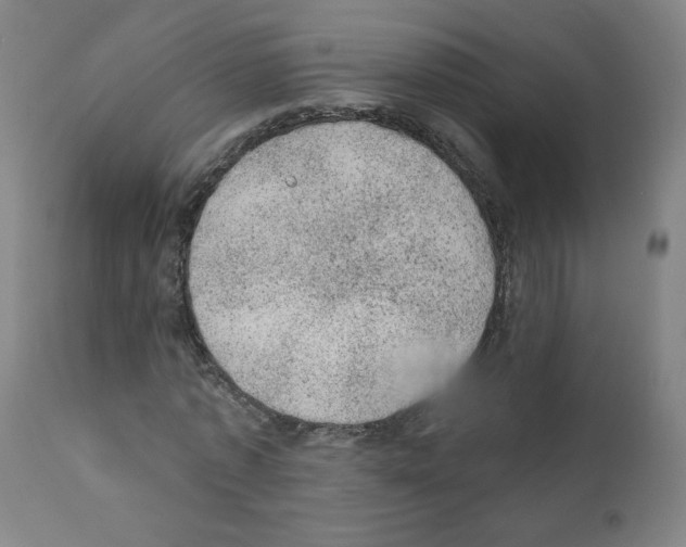 X0000110940773200907311015