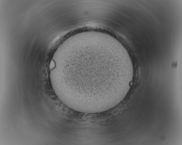 X0000110940776200907311015