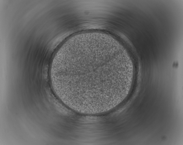 X0000110940777200907311015